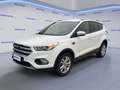 Ford Kuga 2.0 TDCI 150 CV S&S 4WD Powershift Business Weiß - thumbnail 1