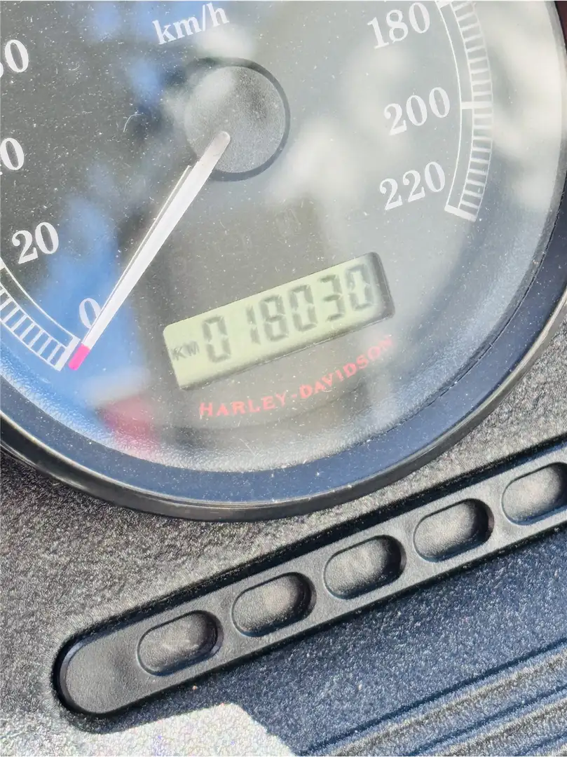 Harley-Davidson Sportster XL 883 Iron mit sehr viel Zubehör - 2