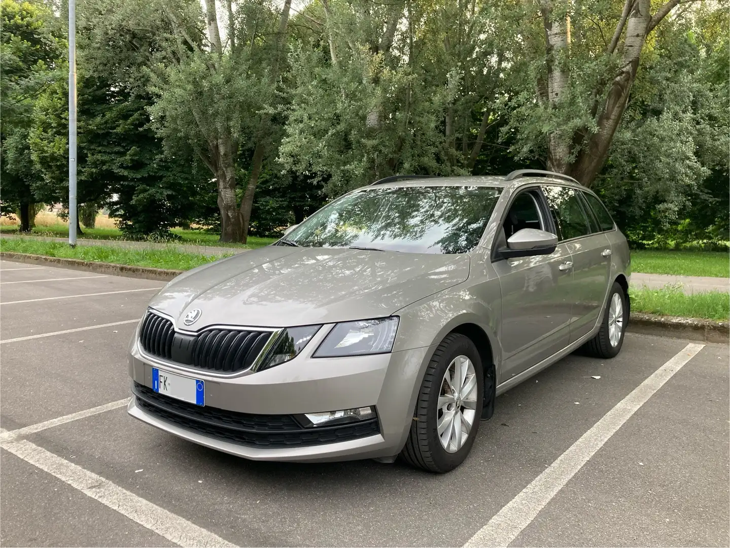 Skoda Octavia Wagon 1.4 TSI G-TEC Executive 110 CV Beige - 2