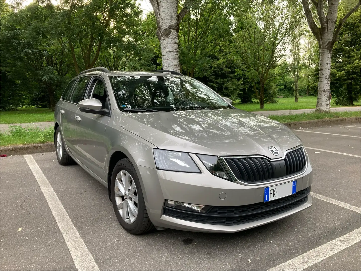Skoda Octavia Wagon 1.4 TSI G-TEC Executive 110 CV Beige - 1