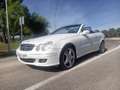 Mercedes-Benz CLK 350 Cabrio Aut. Wit - thumbnail 1