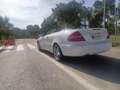 Mercedes-Benz CLK 350 Cabrio Aut. Fehér - thumbnail 6