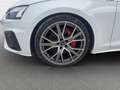 Audi A5 S line business 50 TDI quattro*Matr Weiß - thumbnail 13
