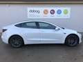 Tesla Model 3 Standard Reichweite Plus Hinterradantrieb 53 KWh Alb - thumbnail 11