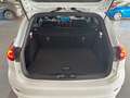 Ford Focus Turnier 1.0 EcoBoost MHEV ST-Line Schalter Weiß - thumbnail 10