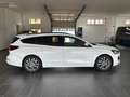 Ford Focus Turnier 1.0 EcoBoost MHEV ST-Line Schalter Weiß - thumbnail 8
