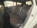 Ford Focus Turnier 1.0 EcoBoost MHEV ST-Line Schalter Weiß - thumbnail 14