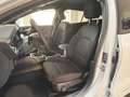 Ford Focus Turnier 1.0 EcoBoost MHEV ST-Line Schalter Weiß - thumbnail 11