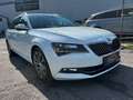 Skoda Superb Kombi 2,0 TDI 4x4 DSG L&K 190PS Leder topAusstattg Weiß - thumbnail 29