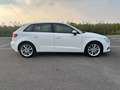 Audi A3 NEOP. AUTOMATICA - TAGLIANDI CERTIFICATI Blanc - thumbnail 4