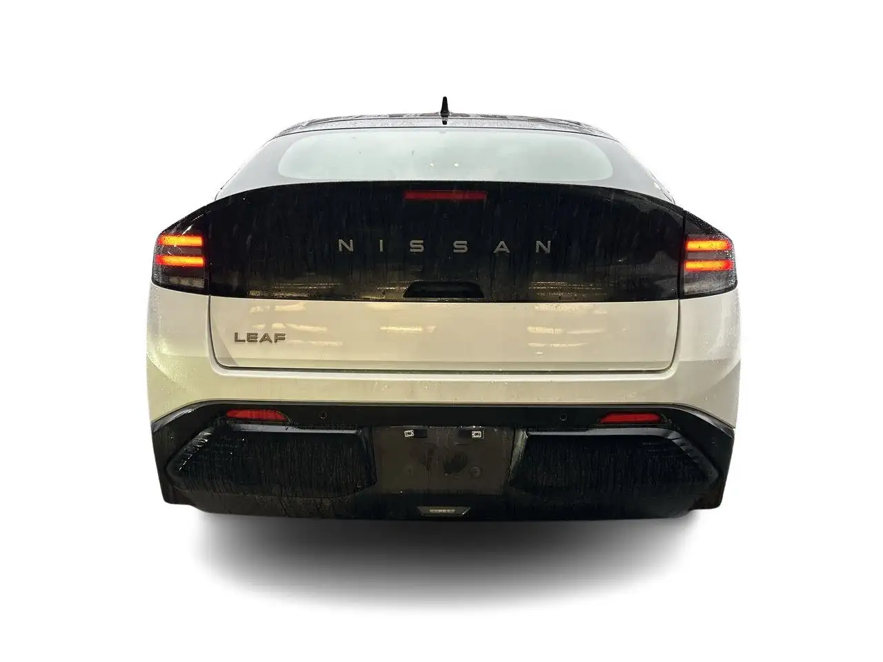 Nissan Leaf fotografie Nissan Leaf