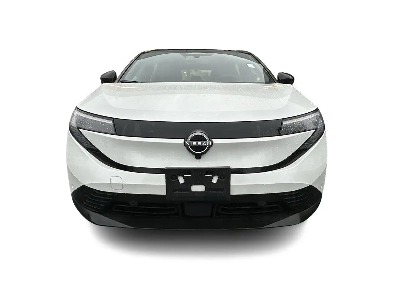 Nissan Leaf fotografie Nissan Leaf