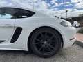 Porsche 718 Cayman T PDK T - thumbnail 5