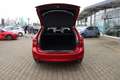 Mazda 6 2.0L SKYACTIV G 145ps 6MT FWD CENTER-LIN Rot - thumbnail 7