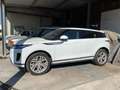 Land Rover Range Rover Evoque ALLUVIONATA EXPORT 36000KM  R-Dynamic HSE 150cv Bianco - thumbnail 1