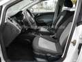 SEAT Ibiza Lim. Reference Viva 5-trg Klima/Alu/TÜV Weiß - thumbnail 26
