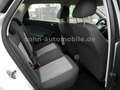 SEAT Ibiza Lim. Reference Viva 5-trg Klima/Alu/TÜV Weiß - thumbnail 36