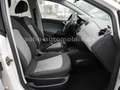 SEAT Ibiza Lim. Reference Viva 5-trg Klima/Alu/TÜV Weiß - thumbnail 31