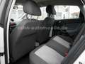 SEAT Ibiza Lim. Reference Viva 5-trg Klima/Alu/TÜV Weiß - thumbnail 40