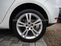SEAT Ibiza Lim. Reference Viva 5-trg Klima/Alu/TÜV Weiß - thumbnail 16