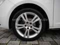 SEAT Ibiza Lim. Reference Viva 5-trg Klima/Alu/TÜV Weiß - thumbnail 17