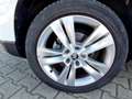 Skoda Karoq 1.5 TSI Style LED Navi ACC Klimaautomatik Weiß - thumbnail 14