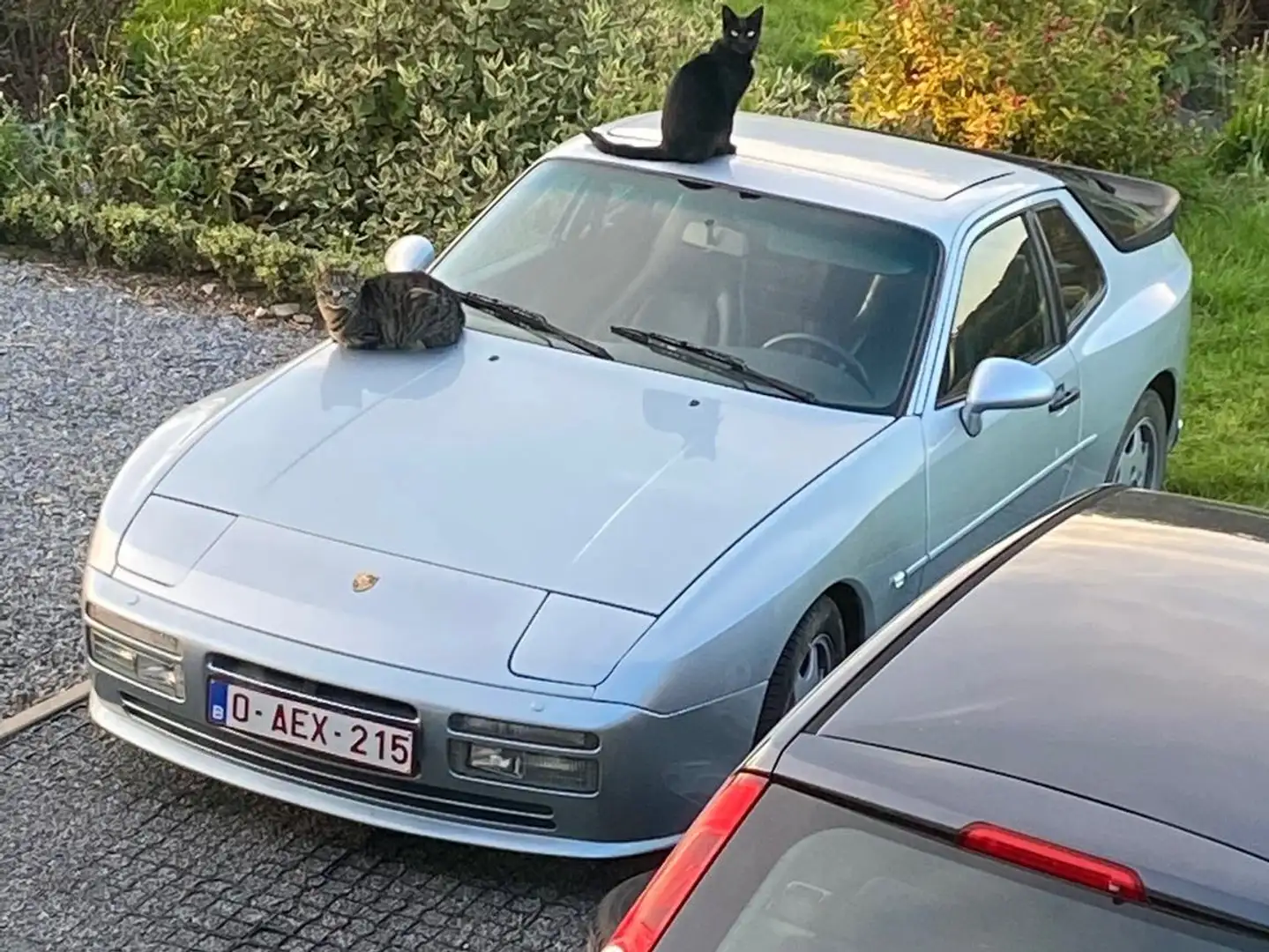 Porsche 944 Turbo 250 TARGA Gris - 1