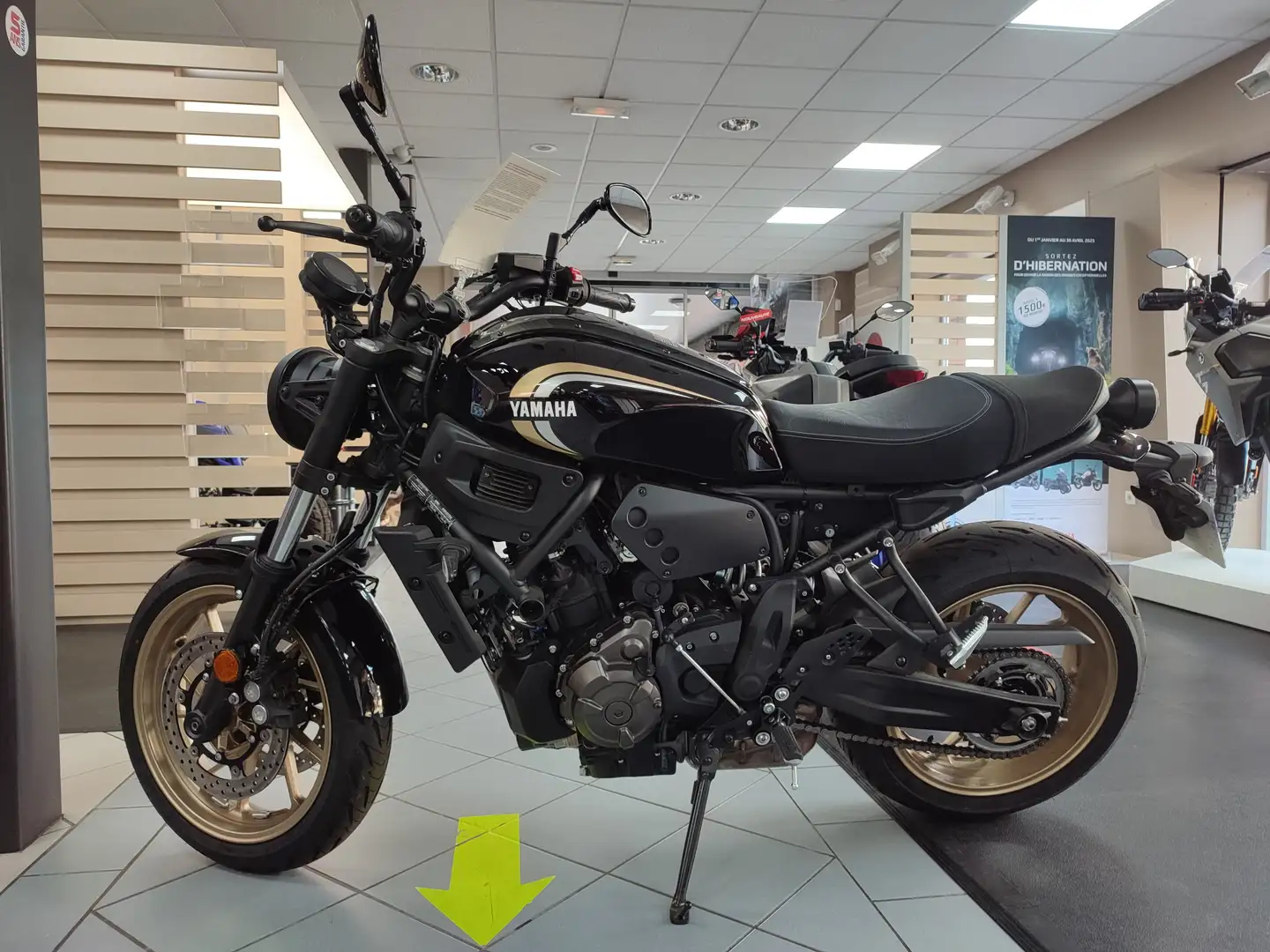 Yamaha XSR 700 - 2