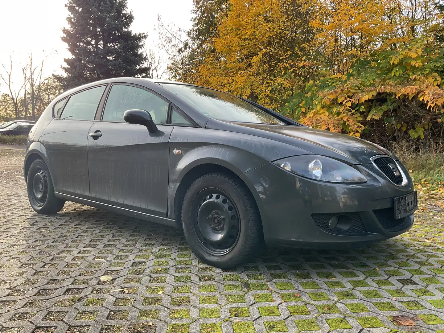 SEAT Leon Sport Limited Grau - 1