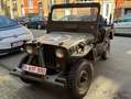Oldtimer Willys Overland Grün - thumbnail 7