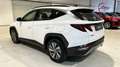 Hyundai TUCSON 1.6 CRDI 48V Maxx 4x2 DT Weiß - thumbnail 4