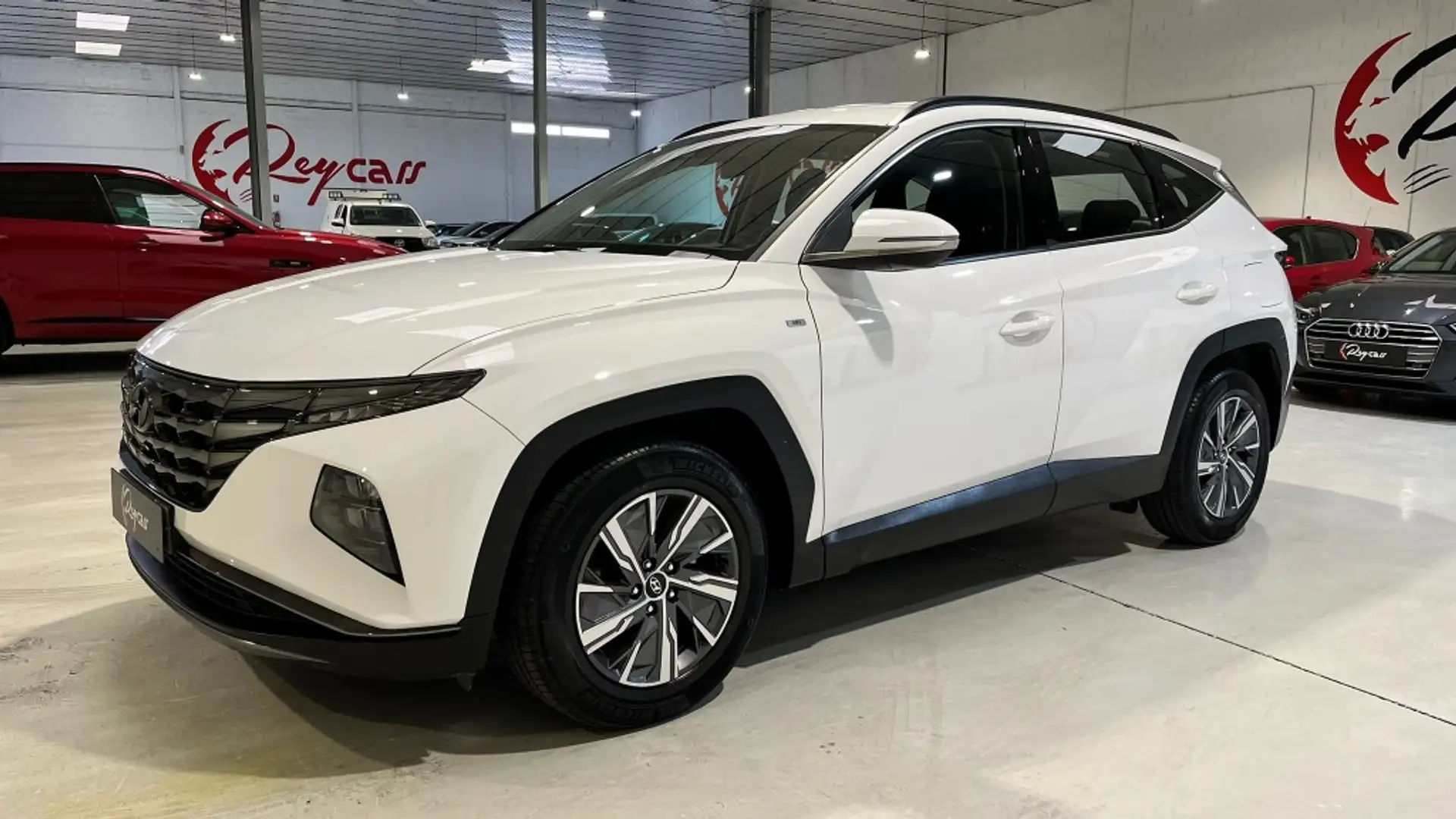 Hyundai TUCSON 1.6 CRDI 48V Maxx 4x2 DT Weiß - 2