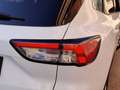 Ford Kuga 1.5 EcoBlue Titanium FWD 120 Aut. Blanc - thumbnail 19