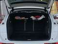 Audi Q5 2.0TDI quattro S tronic S line 150kW Blanco - thumbnail 16