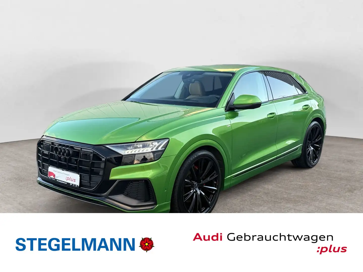 Audi Q8 50 TDI qu. Tiptr. S-Line Selection *AHK*Matri Grün - 1