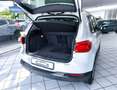 Volkswagen Tiguan *Navi*Rentnerfahrzeug*Top gepflegt*Shz* Weiß - thumbnail 11