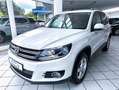 Volkswagen Tiguan *Navi*Rentnerfahrzeug*Top gepflegt*Shz* Weiß - thumbnail 3