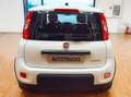 Fiat Panda Panda III 2021 1.0 firefly hybrid s Bianco - thumbnail 6