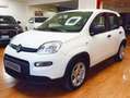Fiat Panda Panda III 2021 1.0 firefly hybrid s Bianco - thumbnail 2