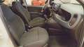 Fiat Panda Panda III 2021 1.0 firefly hybrid s Bianco - thumbnail 10