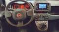 Fiat Panda Panda III 2021 1.0 firefly hybrid s Bianco - thumbnail 9