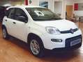 Fiat Panda Panda III 2021 1.0 firefly hybrid s Bianco - thumbnail 1