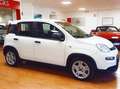Fiat Panda Panda III 2021 1.0 firefly hybrid s Bianco - thumbnail 5
