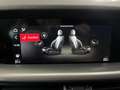 Alfa Romeo Stelvio Stelvio 2.2 Turbodiesel 210 CV AT8 Q4 Veloce - PR Nero - thumbnail 19