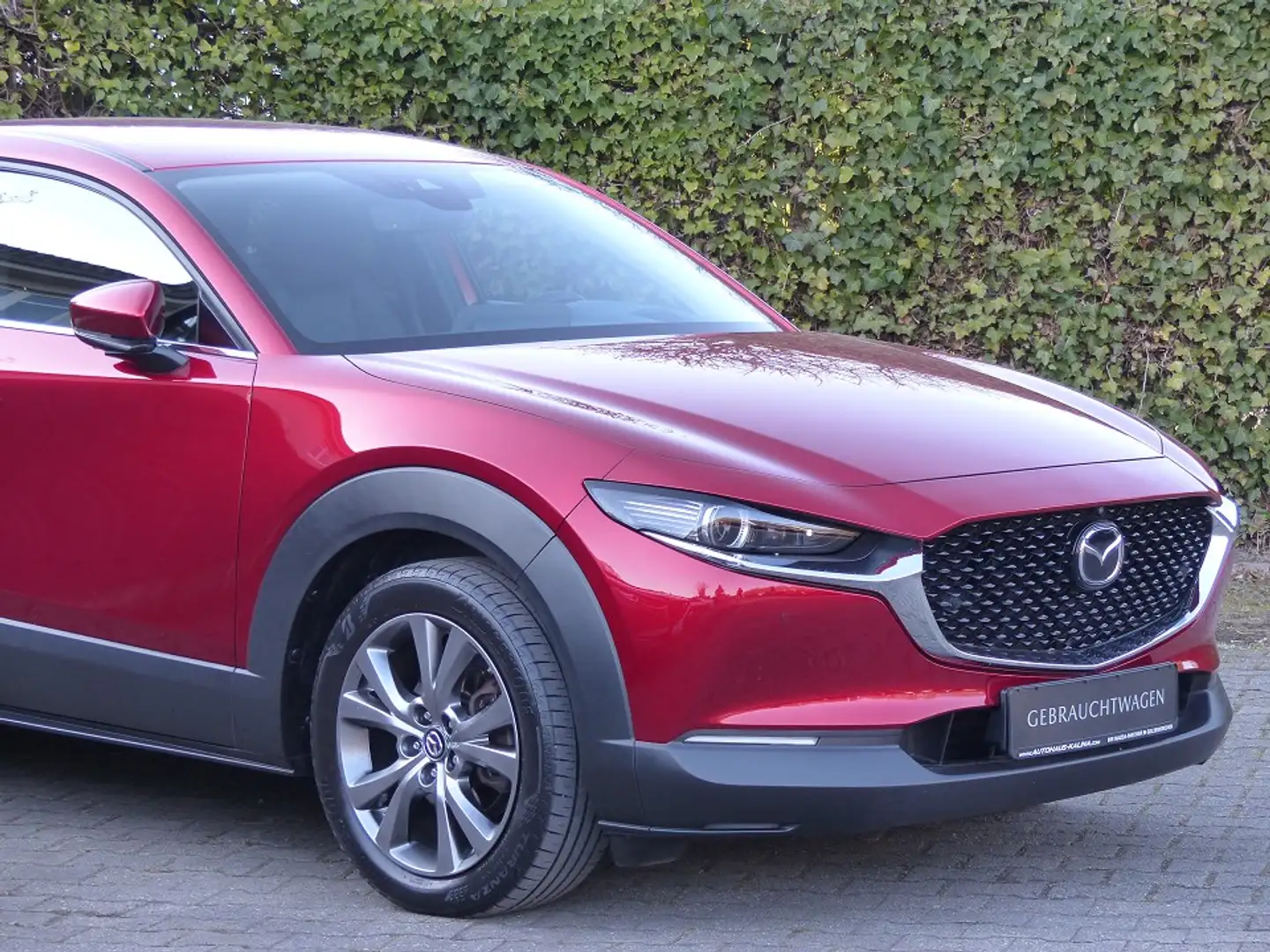 Mazda CX-30 SKYACTIV-X 179PS SELECTION + Design-Paket + BOSE + Rojo - 2