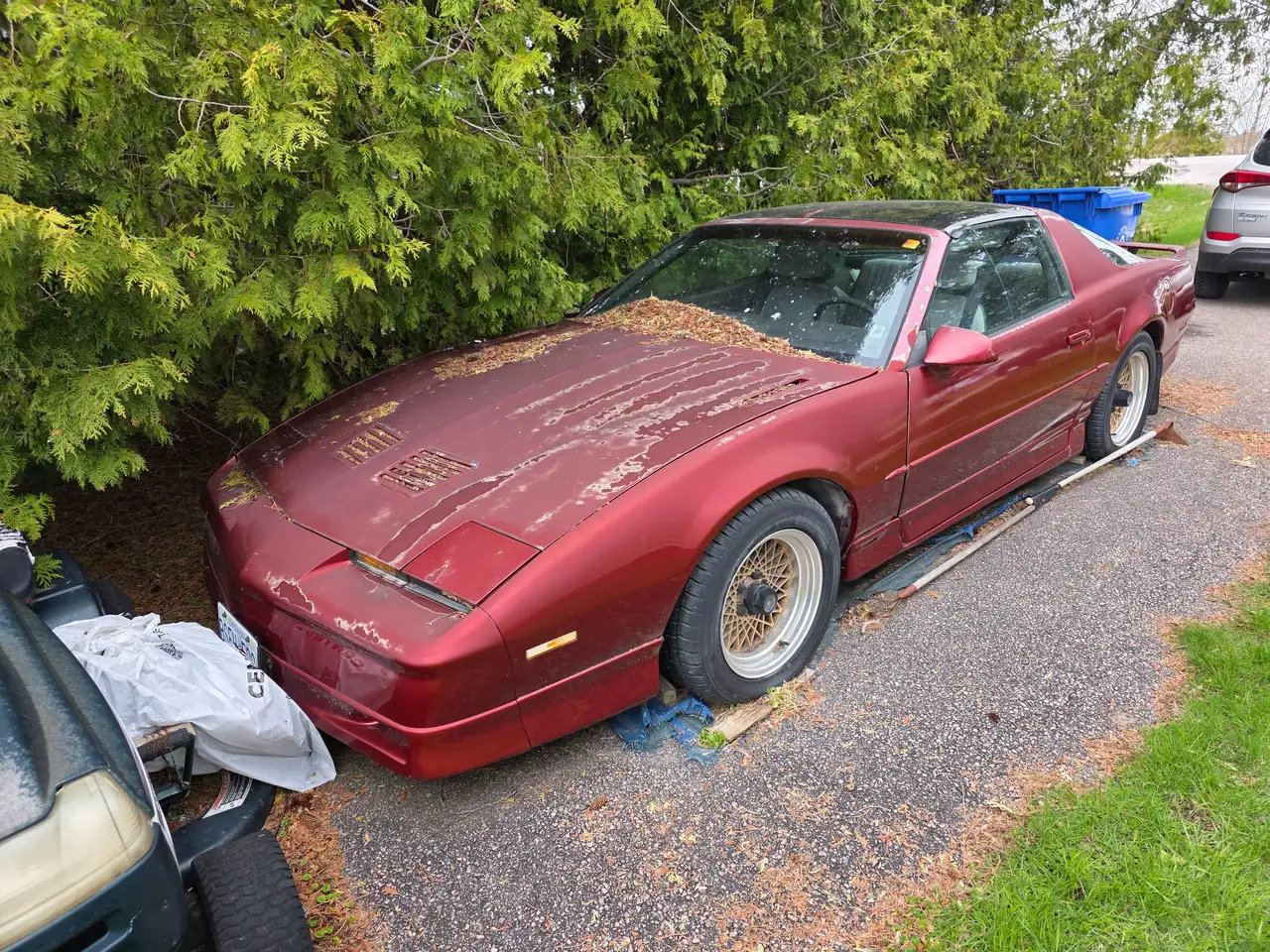 1987 Pontiac Firebird