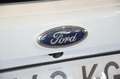 Ford Kuga TITANIUM 1.5TDCI 120cv Bianco - thumbnail 6
