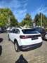 Volkswagen Taigo 1.0 TSI Automatik LIFE Klima LED PDC Weiß - thumbnail 4