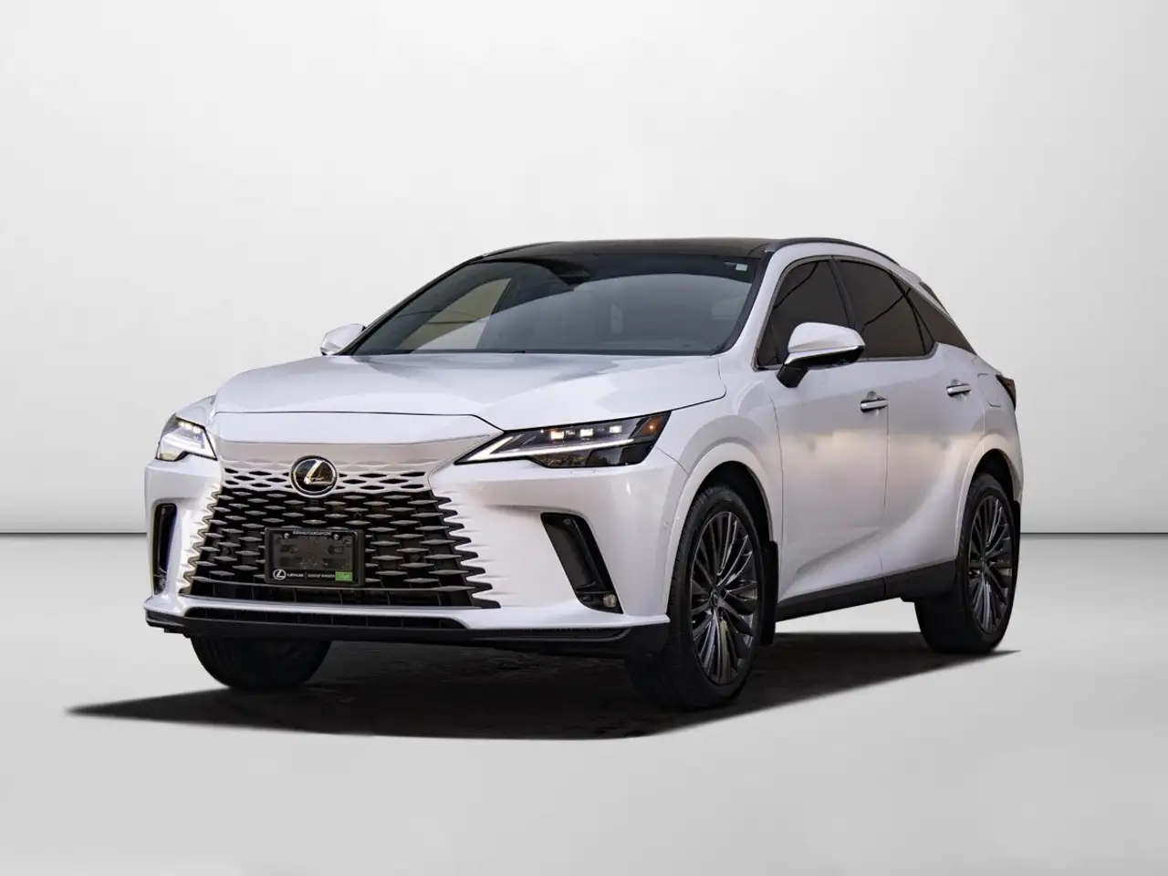 2025 Lexus RX