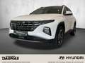 Hyundai TUCSON Tucson Plug-in-Hybrid  4WD Trend Navi LED TOP Wit - thumbnail 1